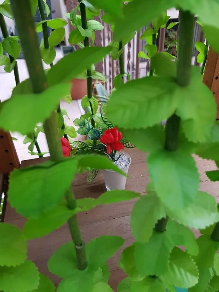 Dolce Dormire Bed & Breakfast Palermo
